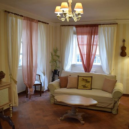 Palazzo Tucci Apartments 루카 외부 사진